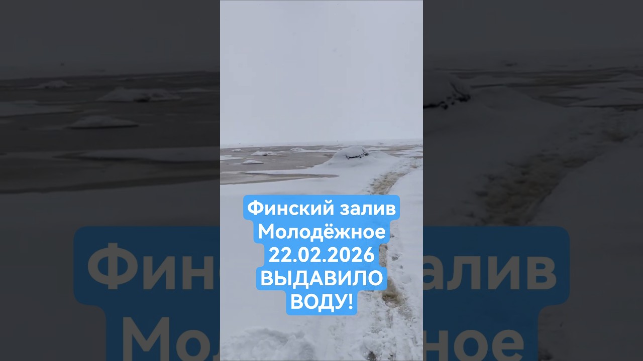 Давит воду! Финский залив, Молодёжное. Обстановка на Финском заливе.