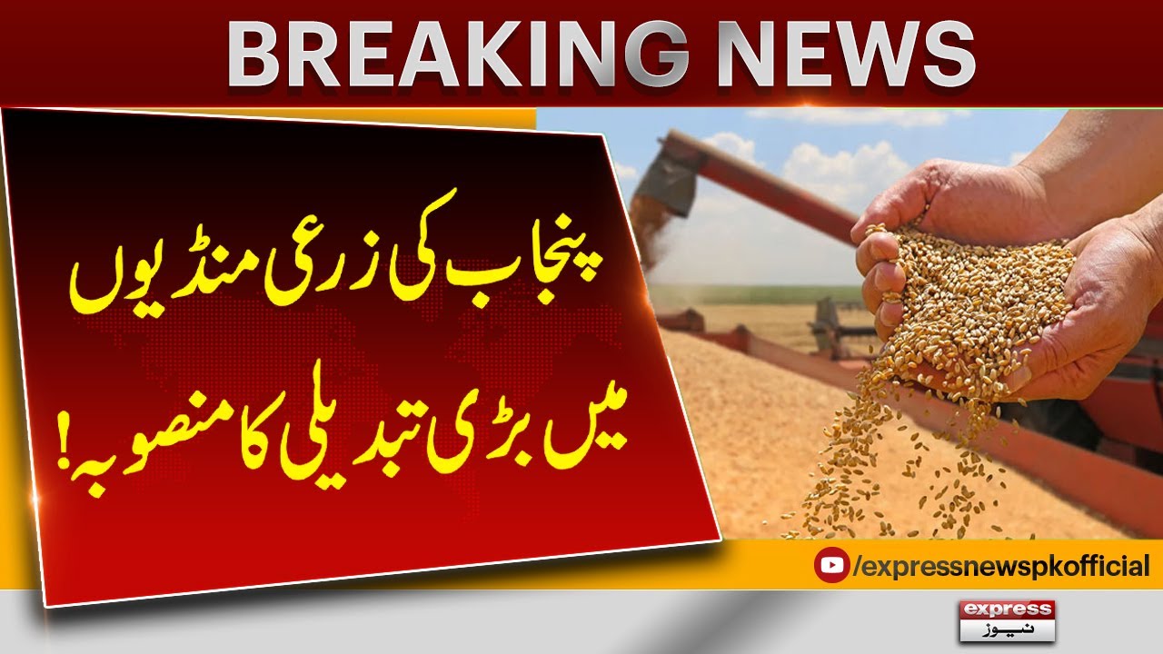 Major Reform Planned in Punjab&rsquo;s Agricultural Markets | Pakistan News