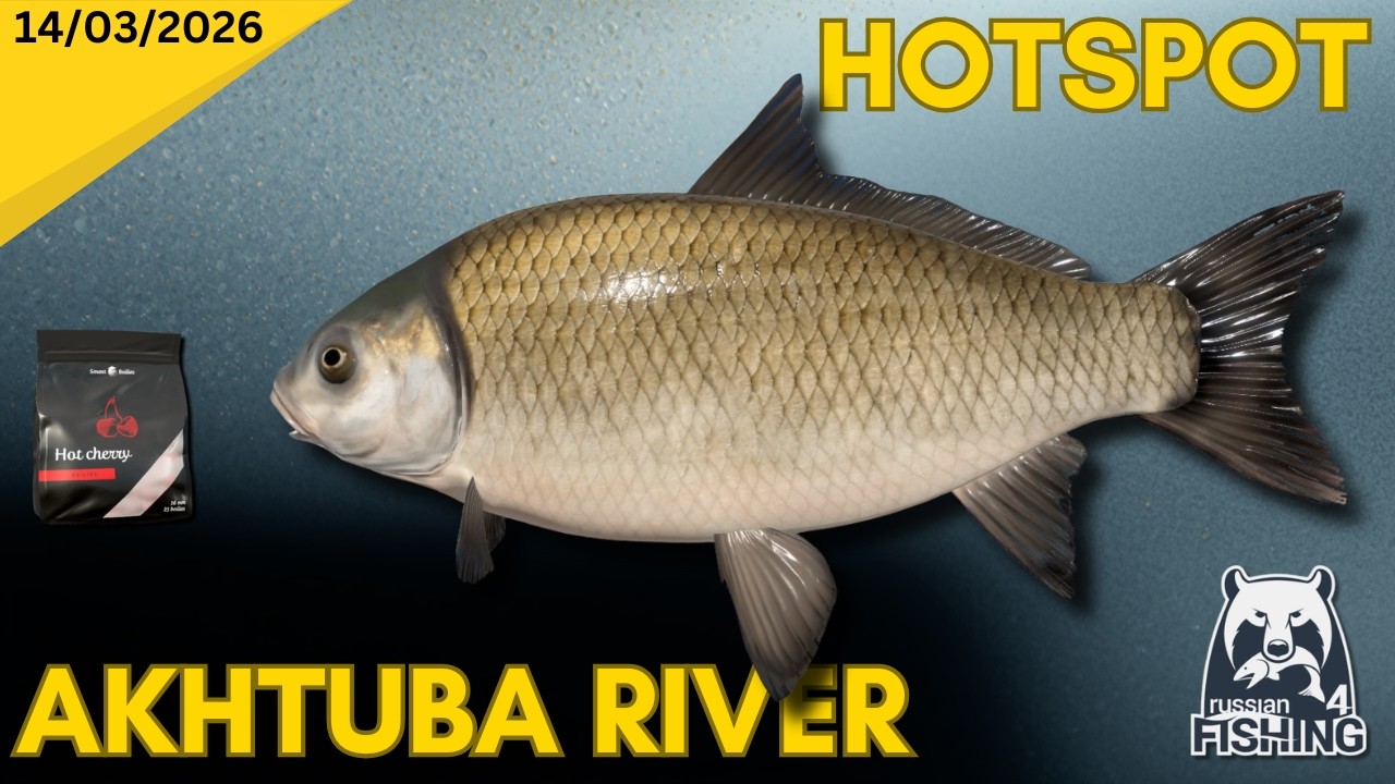 Non Stop Buffalo Action - Russian Fishing 4