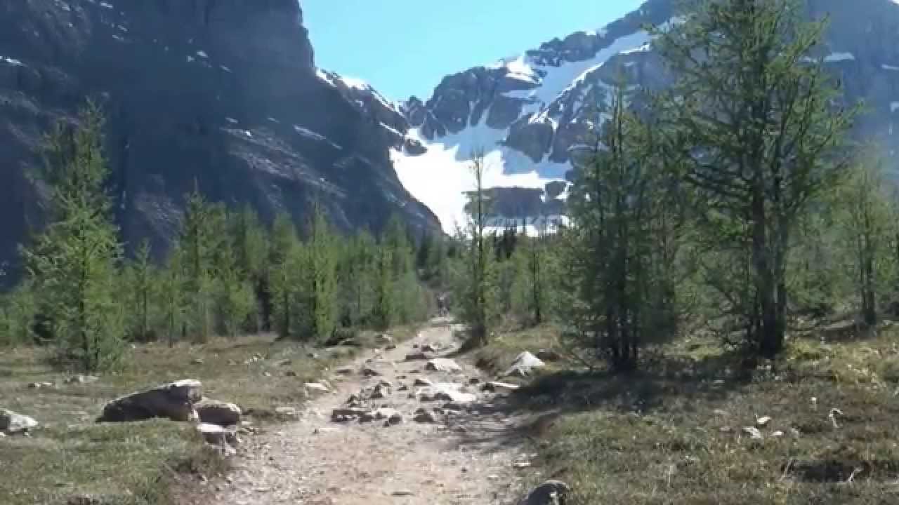 Lake Louise - Saddleback hike