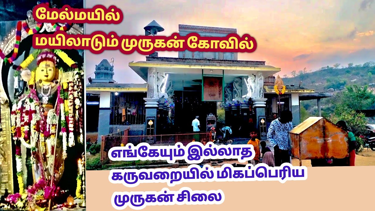உலகிலே கருவறையில் மிக பெரிய முருகன் சிலை மேல்மயில்