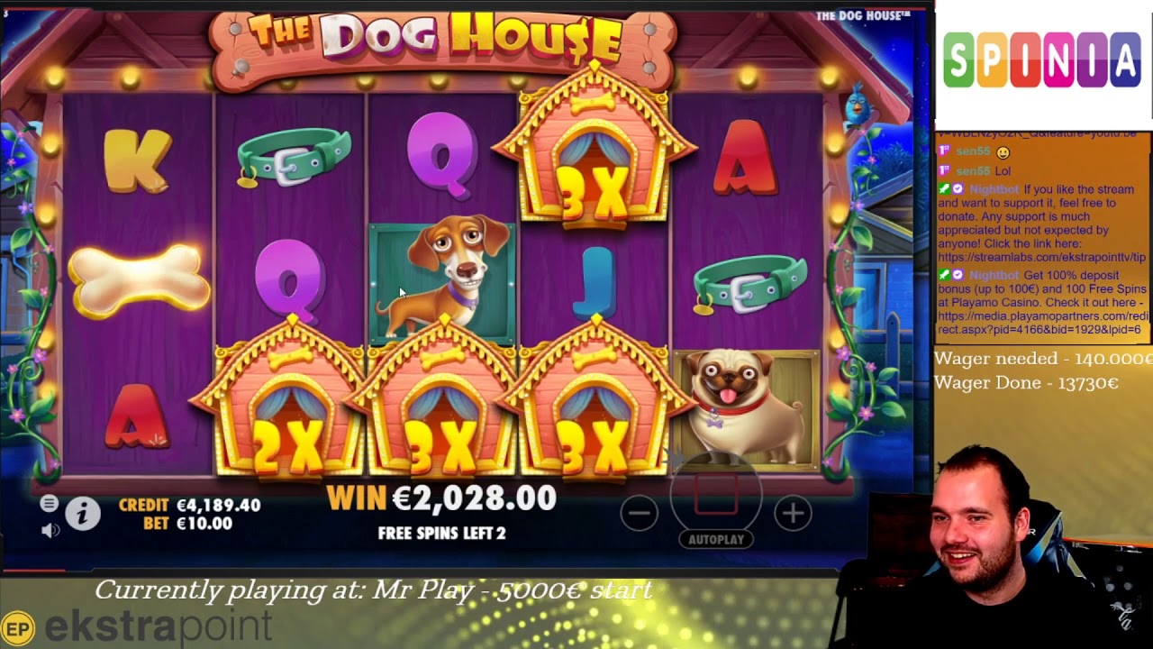 310x win on Dog House Slot Game at Mr Play Casino | EkstraPoint