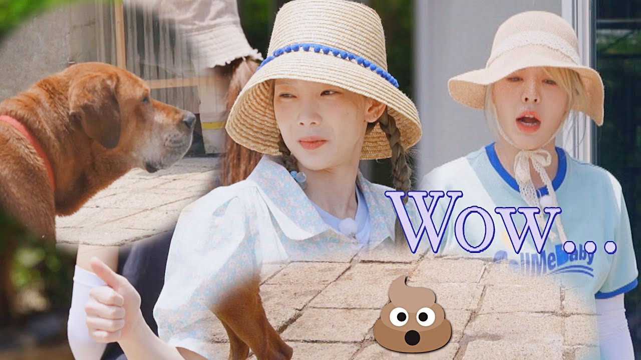 동해 기분 최상♪ 창문 닦는 소시 앞에서 자세 잡는 동해^^ㅋㅋㅋ | 소시탐탐 2회 | JTBC 220712 방송