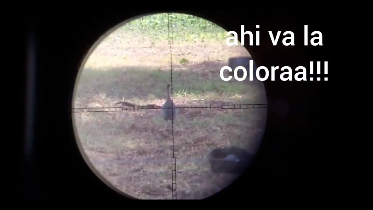 lo que hacia que no me salia una de esas!!!!!