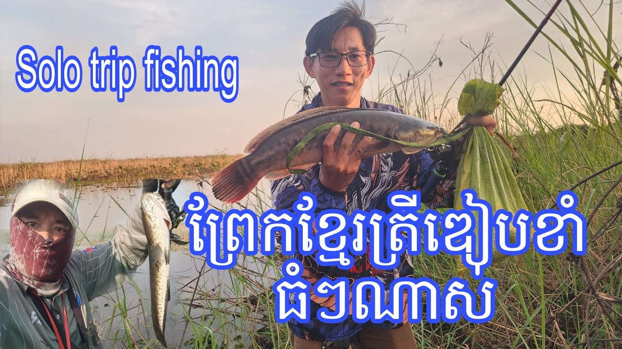 ចេញសាកព្រែកខ្មែរជើងទីមួយចូលខ្នាតបាន7ត្រី, មេហុងចូលឌៀបជិតមួយ 2kg 21-Feb-26 