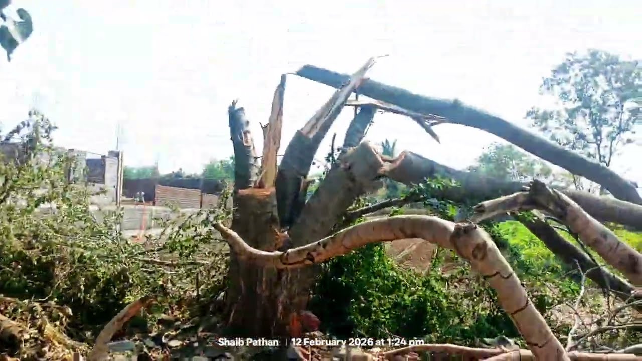 Gaon ka sukun khet mein Hai 🌳