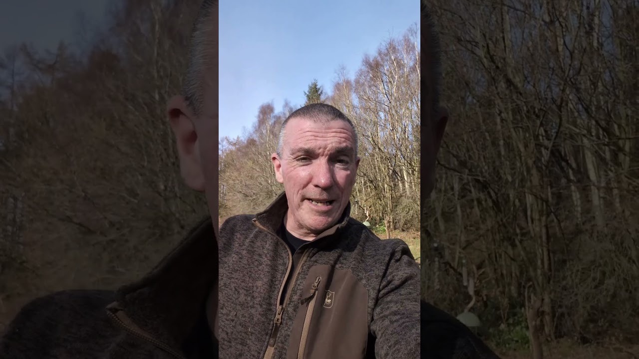 Will buzzards actually come for this #wildlife #waldenwildlifewatch #birds