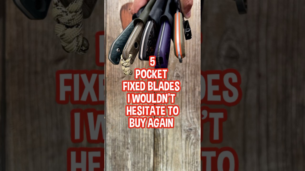 5 Scout Carry/Pocket Carry Fixed Blades #edcknife #fixedblade