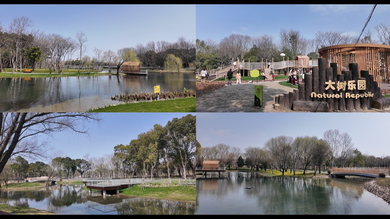 凌桥公园 迎春跑  4K virtual run Linqiao park 跑步机风景vlog 上海跑步路线 260307 citywalk 助眠 第一视角 马拉松