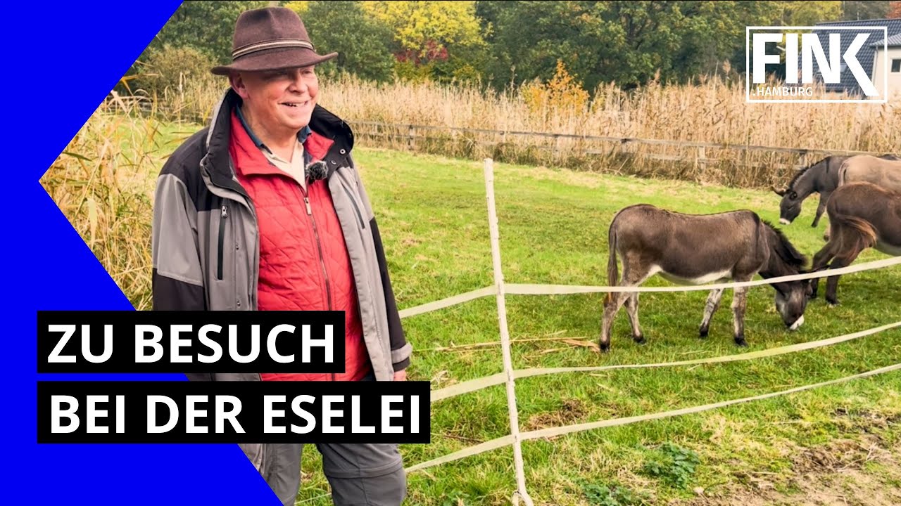Tierisch entschleunigt: zu Besuch bei der Eselei in Bergedorf