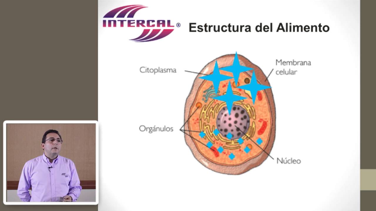 Capitulo 1 Teoria Tuneles de Congelacion Rapida
