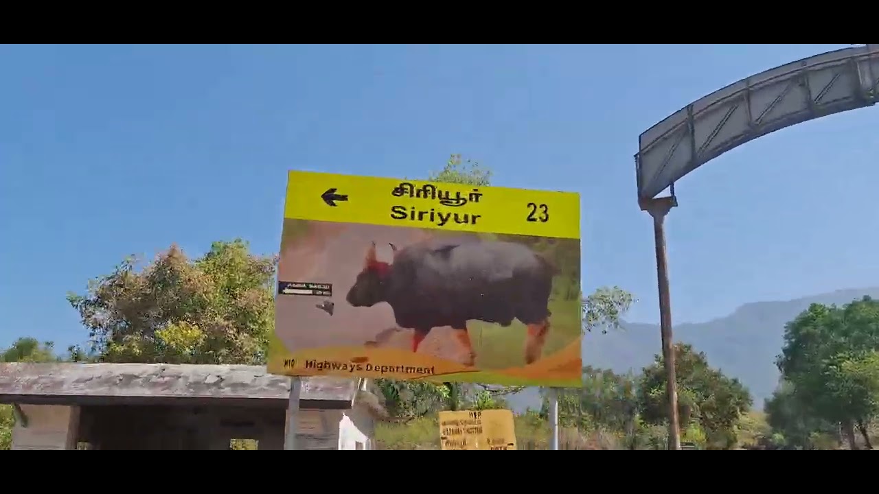 Masinagudi to Ooty via Kallatti Ghat 🔥 Dangerous Hills Ride Through Dense Forest