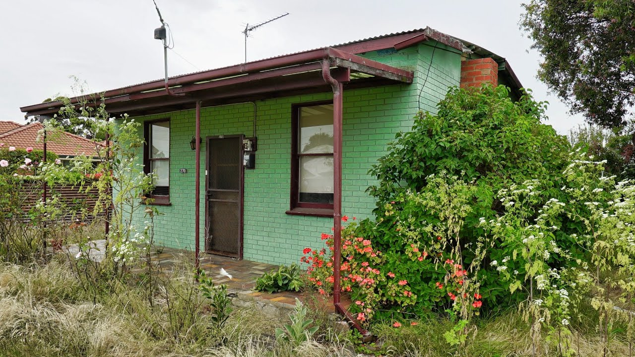Hidden green cottage/3 abandoned cottages all on the same road.