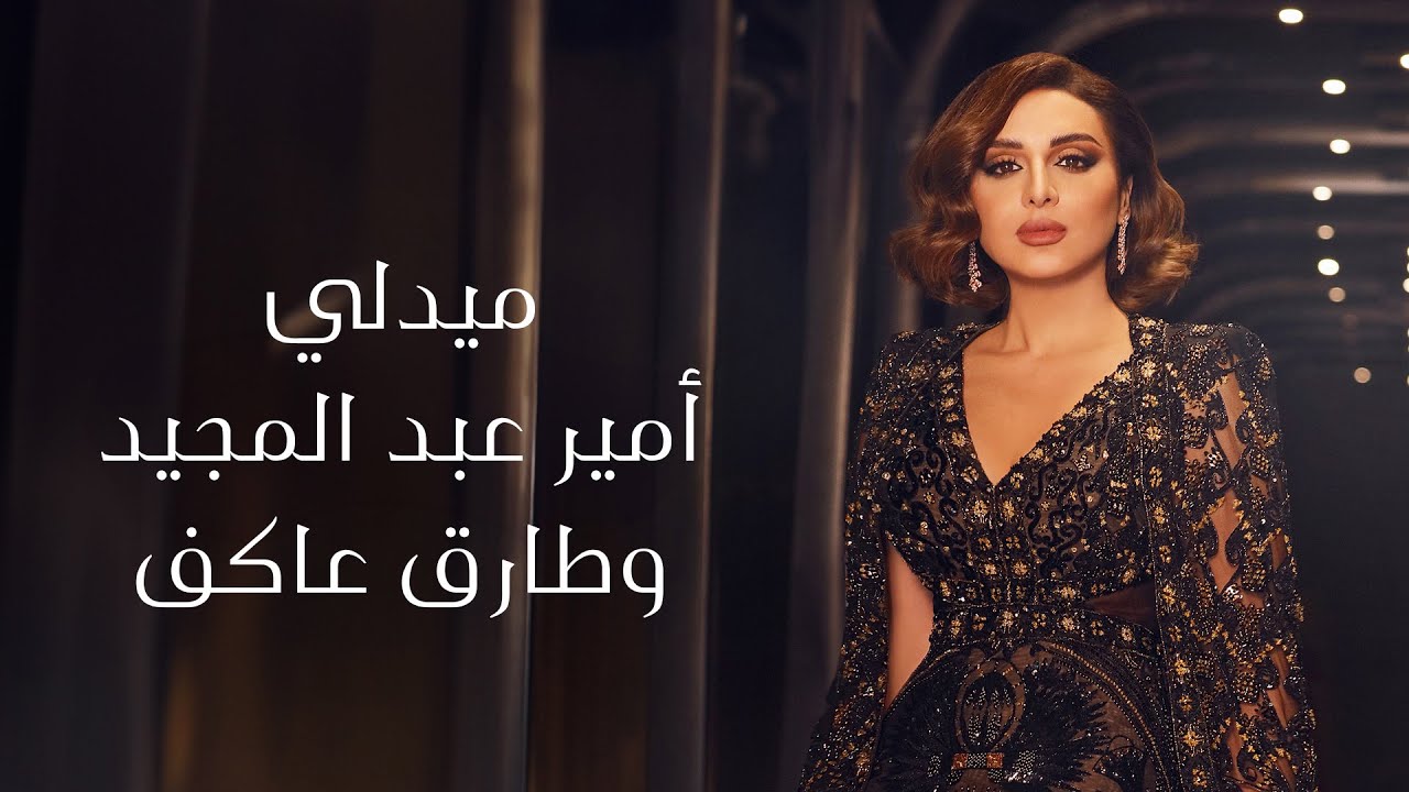 انغام  - ميدلي أمير عبد المجيد وطارق عاكف | ليلة صوت مصر