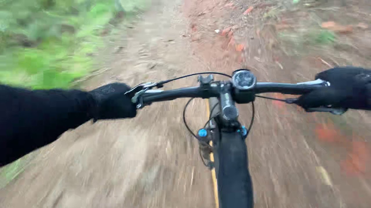 MTB Ride - Kirstenbosch, Cecilia Forest and Tokai GreenBelt