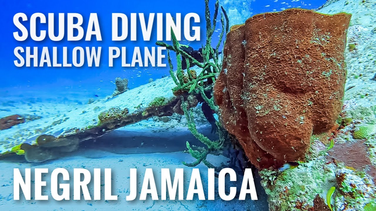 Scuba Diving NEGRIL, JAMAICA Shallow Pane [4K]