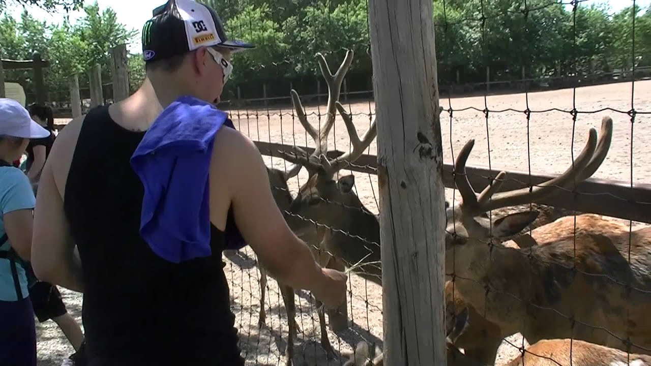 Marineland Adventures