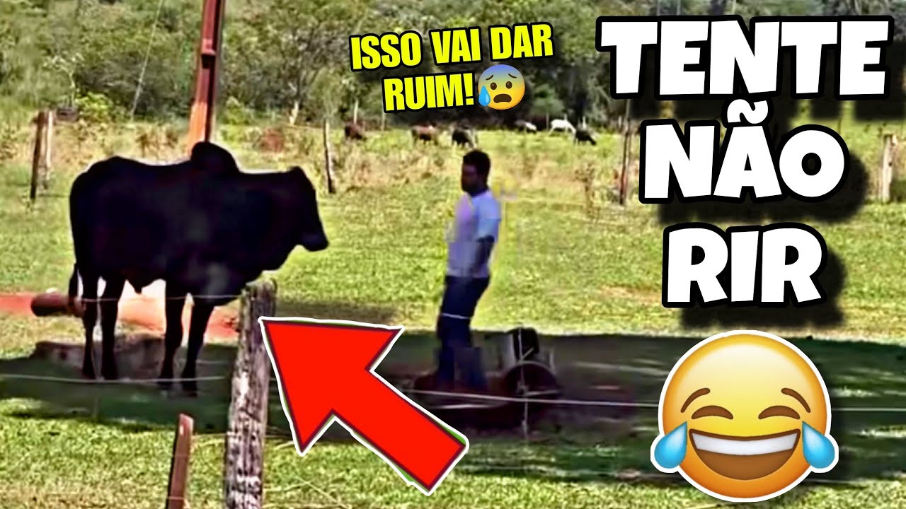 TENTE NÃO RIR: OS MELHORES VÍDEOS DA INTERNET #videosengracados #tentenaorir #humor #comedia #tiktok