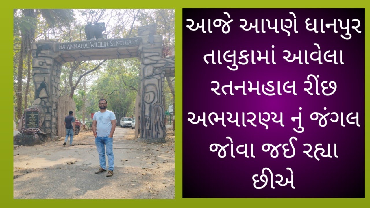 ગુજરાત નું એકમાત્ર રીંછ અભયારણ્ય રતનમહાલ જ્યાં જંગલ માં રીંછ નો વસવાટ ગુફાઓ માં છે 