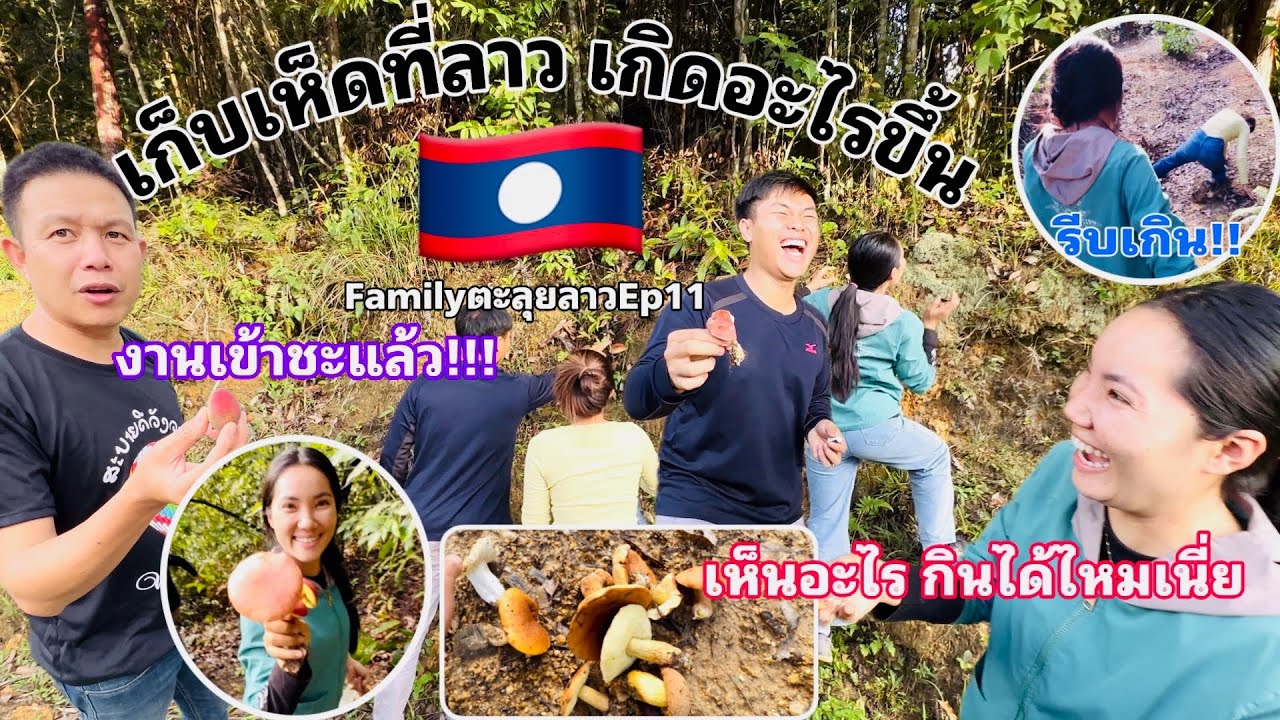 FamilyตะลุยลาวEp11. พาน้องฝ้ายไปเก็บเห็ดที่ประเทศลาว🇱🇦อยู่ๆๆเกิดอะไรขึ้นกับน้องฝ้าย!!! งานเข้าเลย