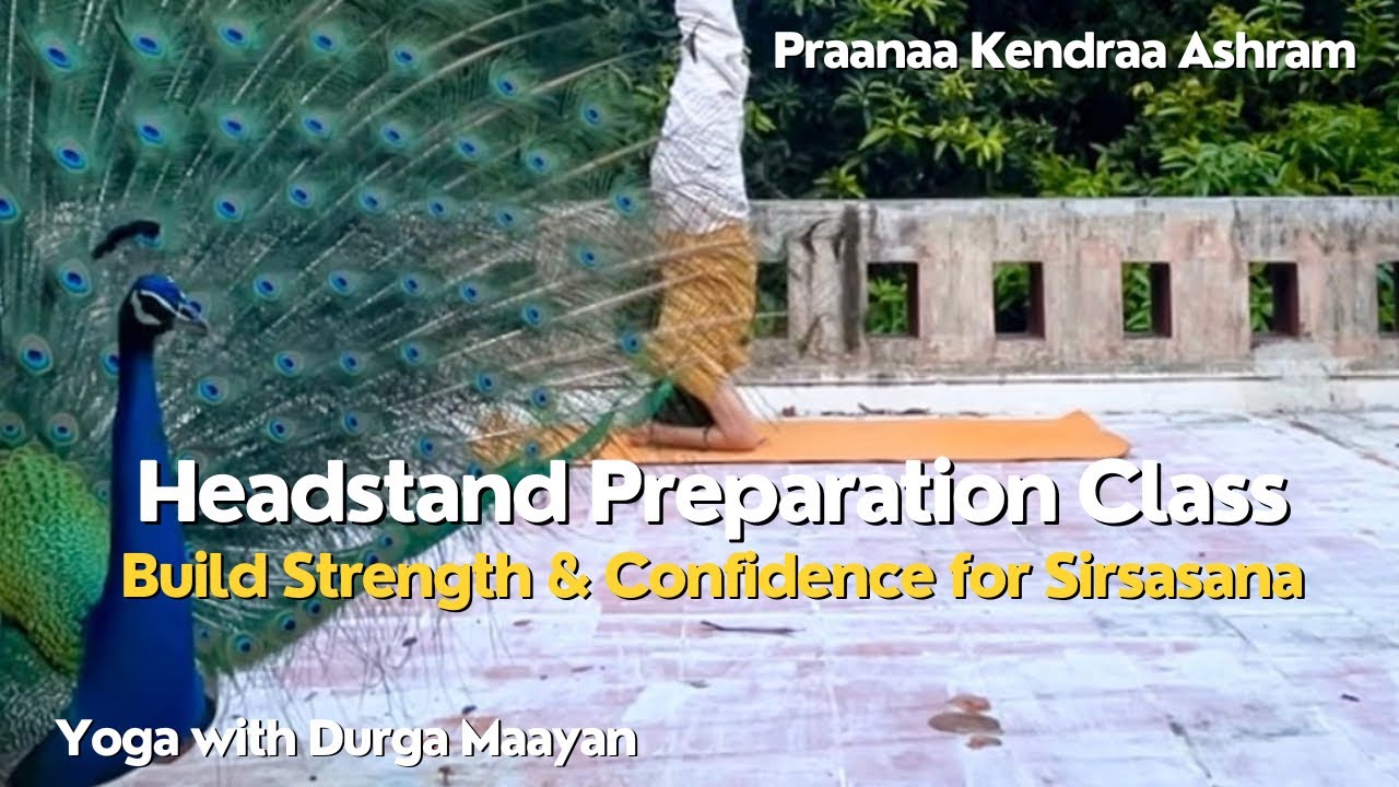 Headstand Preparation Class | Build Strength & Confidence for Sirsasana