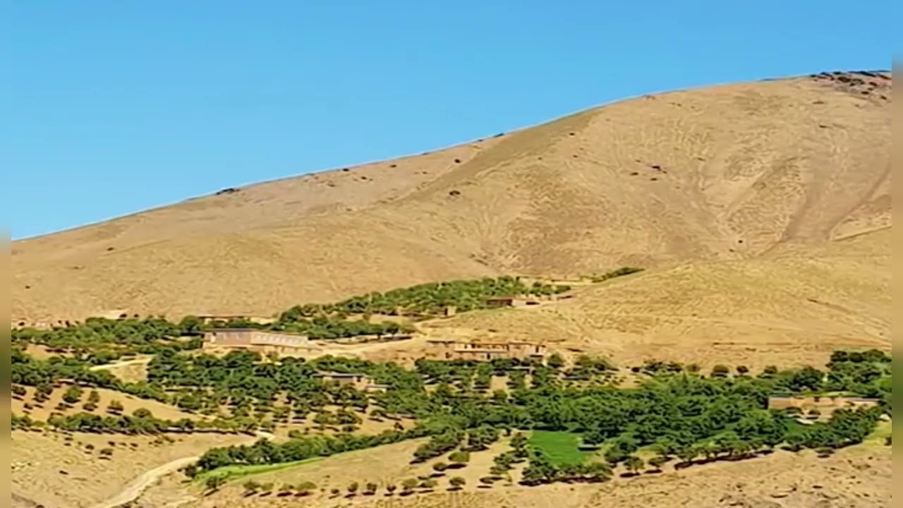 استاد خان محمد دلبری بیاجانا که بی توجان ندارم  Delbari Hazaragi Song