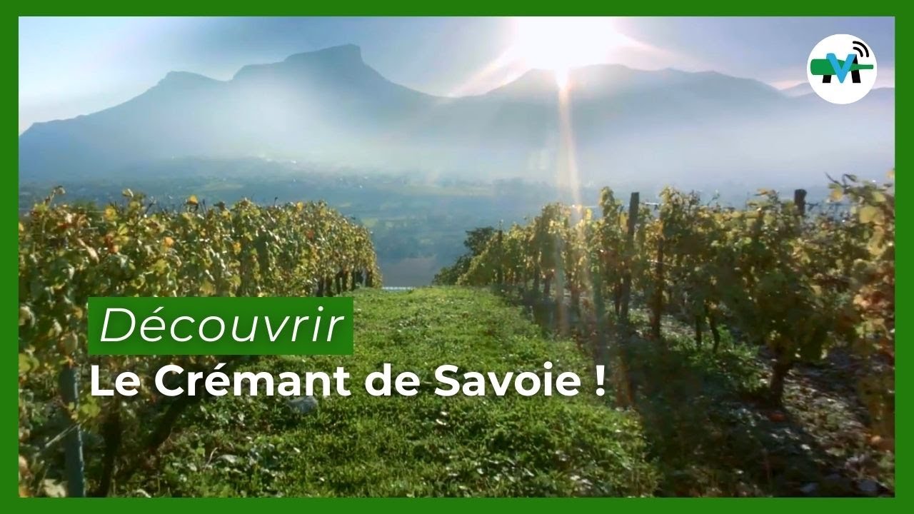 Crémant de Savoie : jacquère et altesse au cœur des bulles alpines