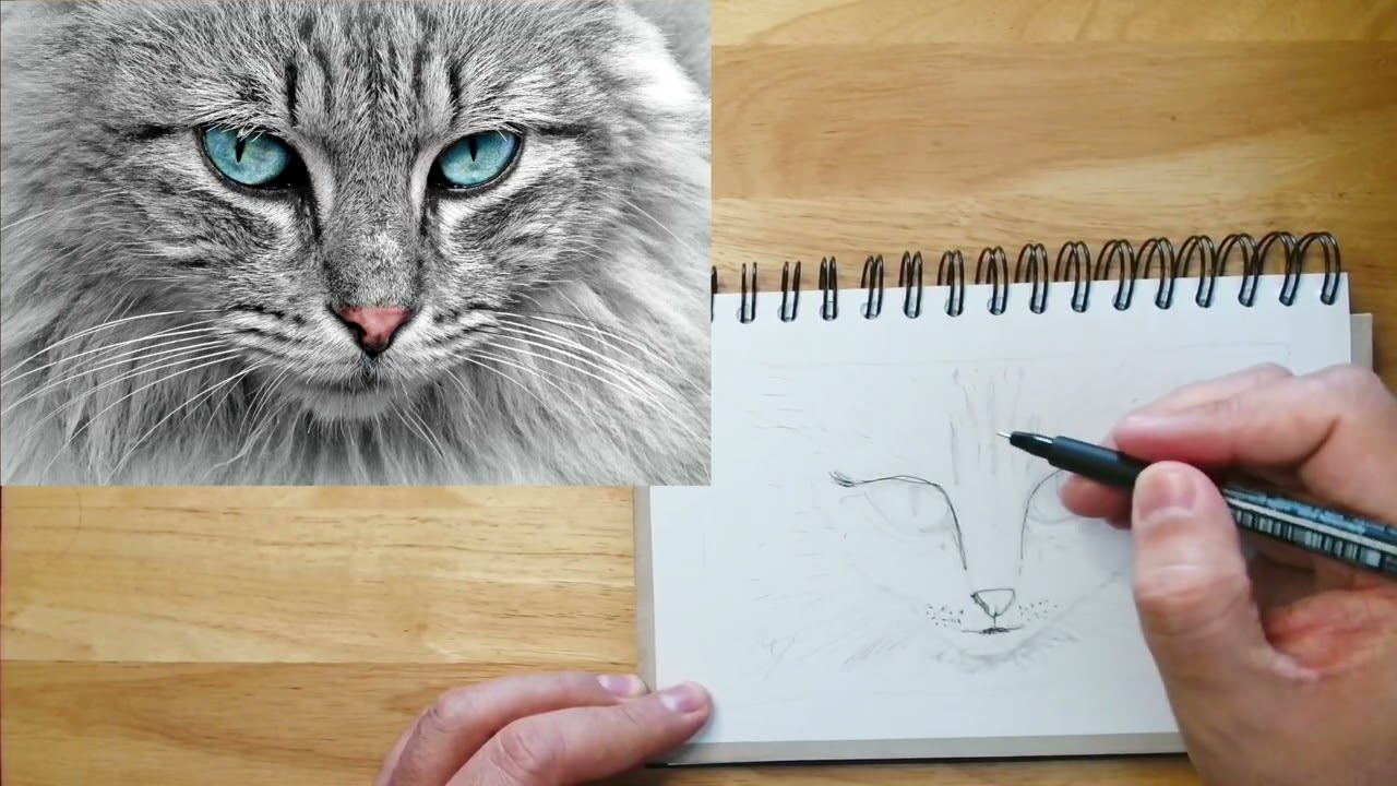 Let's Draw Together 11: Blue Eyed Cat. Lo Fi jams, drawing, company, background music,