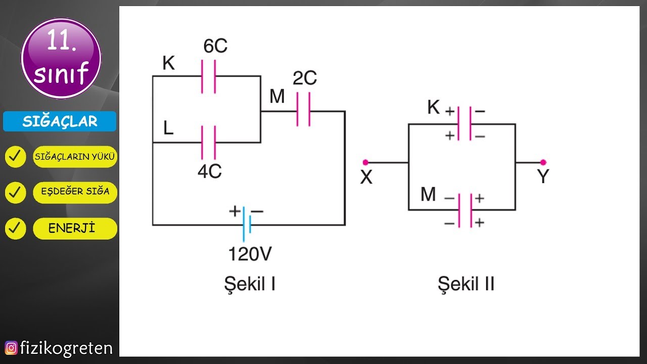 SIĞAÇLAR [3] Soru Çözümü