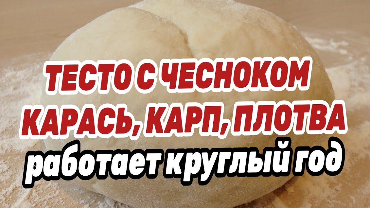 ТЕСТО ДЛЯ РЫБАЛКИ С ЧЕСНОКОМ НА КАРАСЯ. РАБОТАЕТ КРУГЛЫЙ ГОД ! Проверено !!