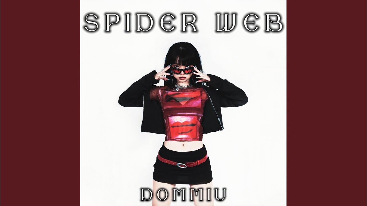 SPIDER WEB