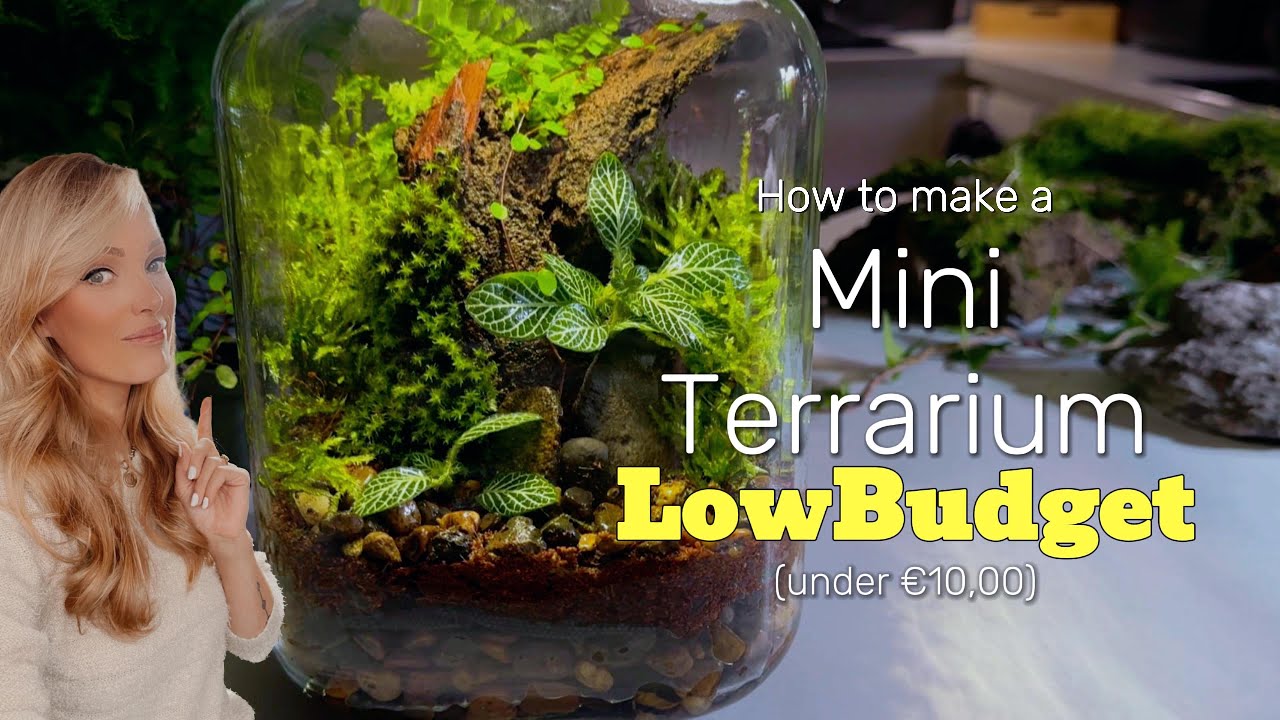 DIY Low-Budget Terrarium Using Nature's Materials | Easy Step-by-Step Guide 🌱