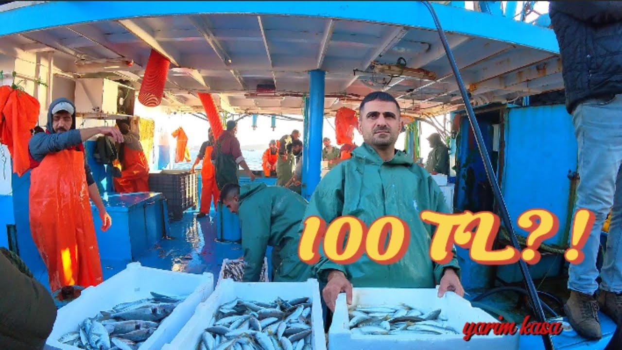 Balık Mezatı! 100 TL’ye Yarım Kasa Balık 😳🎣
