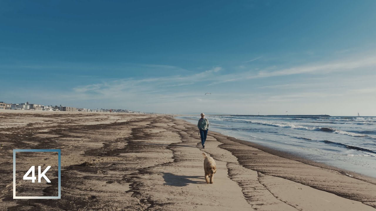Walking the Shoreline — Venice Beach to Marina del Rey (No Commentary, 4K)