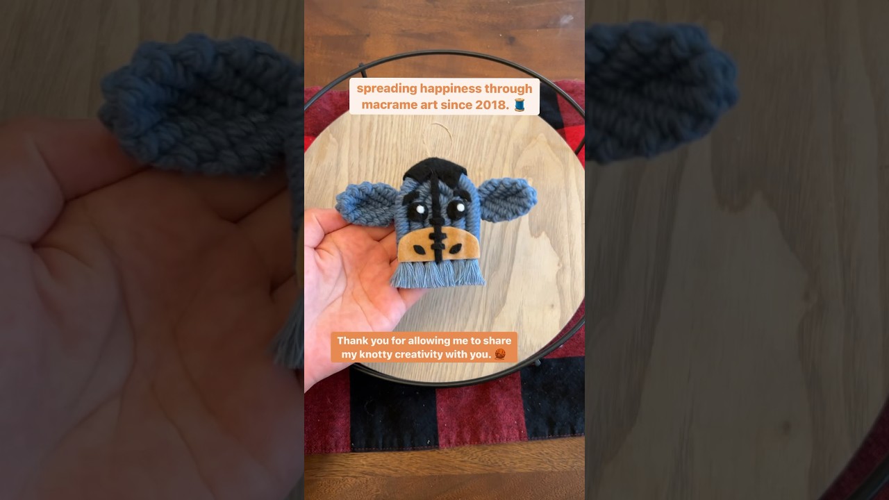 reimagining disney characters into macrame art 🧵 #macrame #diy #diycrafts #crafts #handmade #art