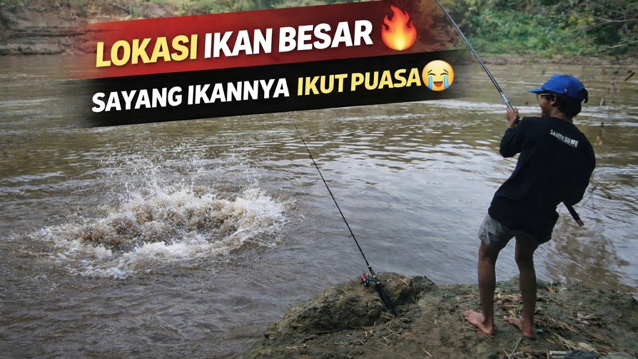 LOKASI IKAN BESAR SUDAH BISA DI PANCING LAGI, IKAN IKUT PUASA