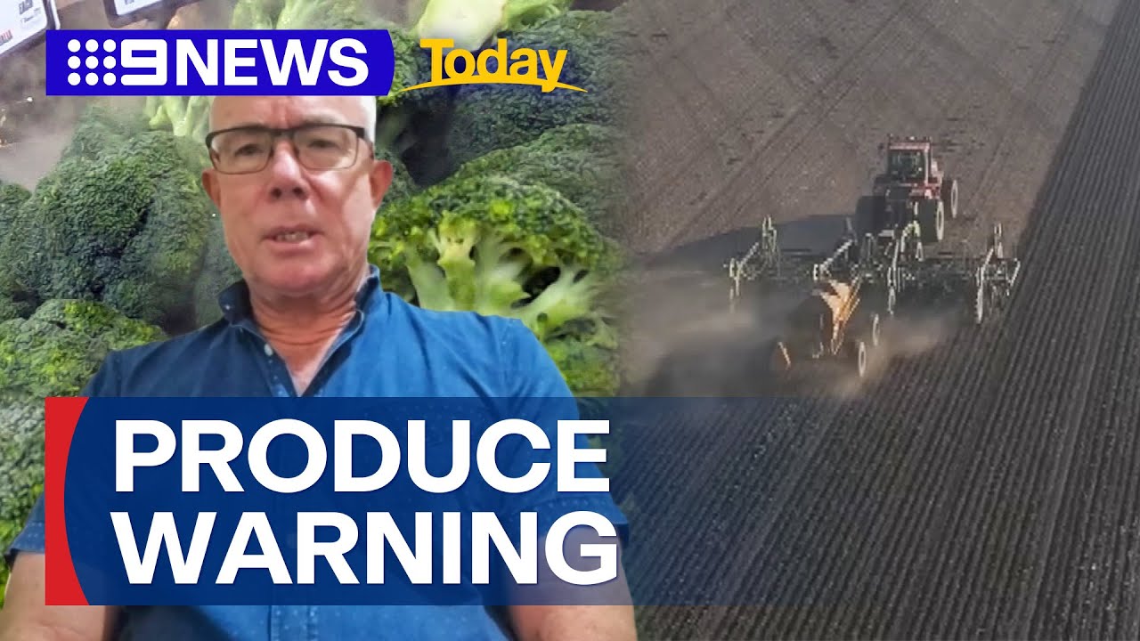 Australian fresh produce suppliers warn industry is at breaking point | 9 News Australia