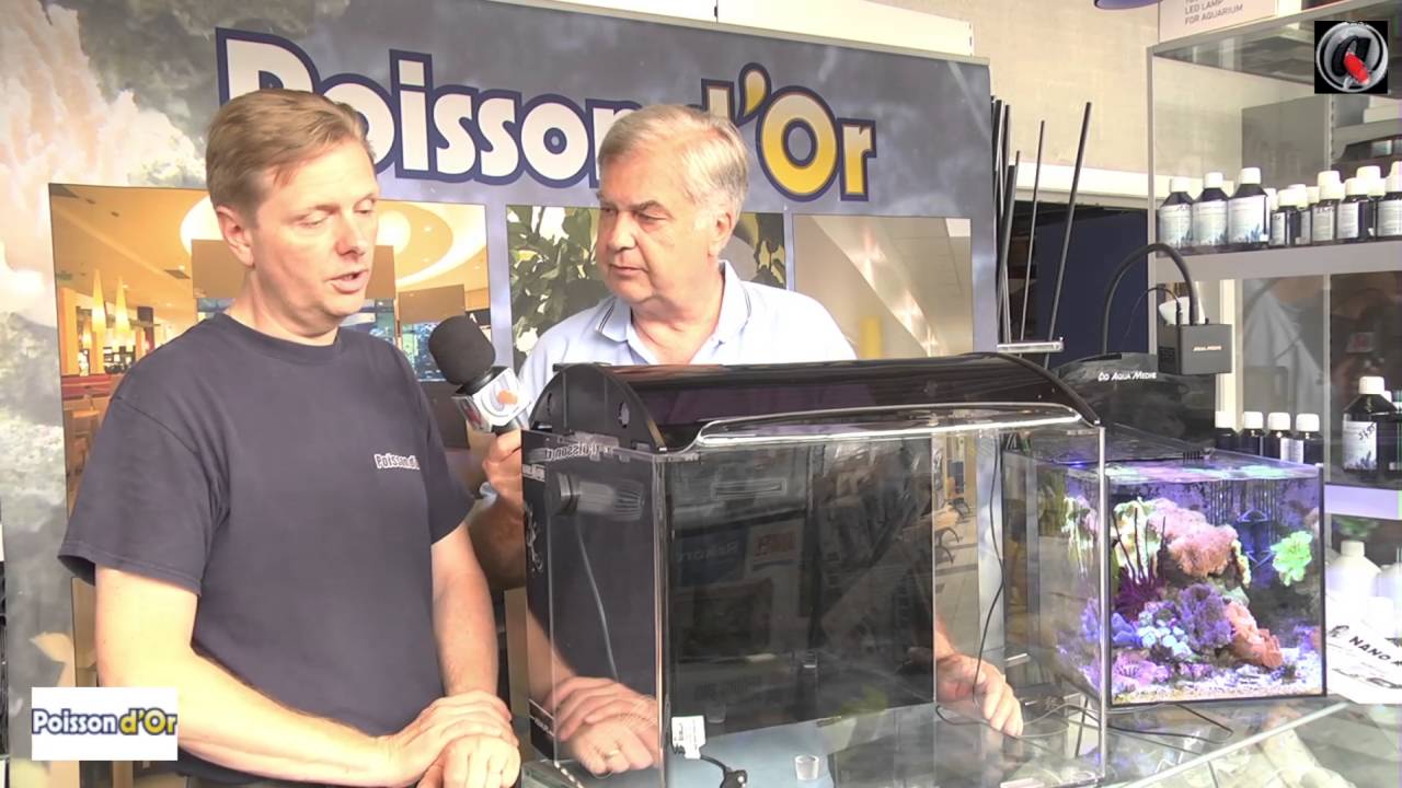 AquaVideoMag 60   Nano Marin premier prix