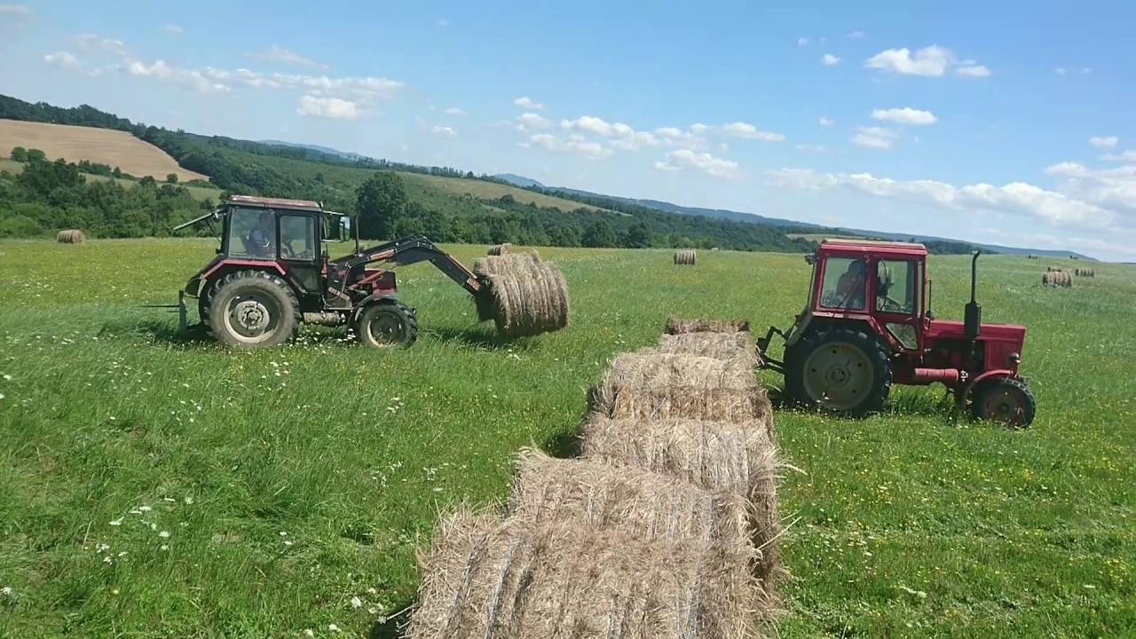 Széna betakaritás 2016