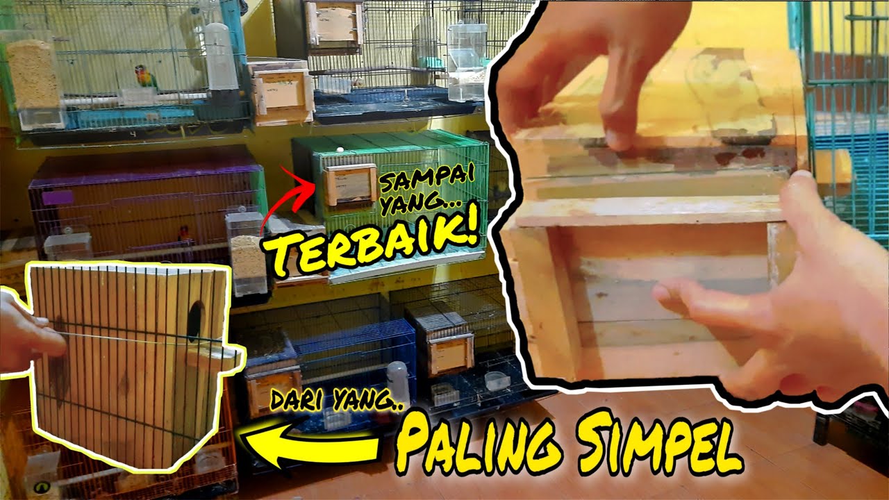 5 Cara Pasang Glodok Lovebird versi Embun LBF