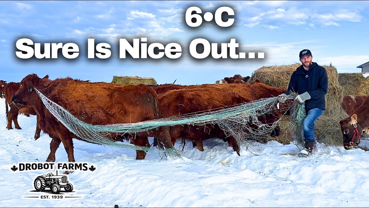 Not Every Day is a Disaster | Life on the Farm