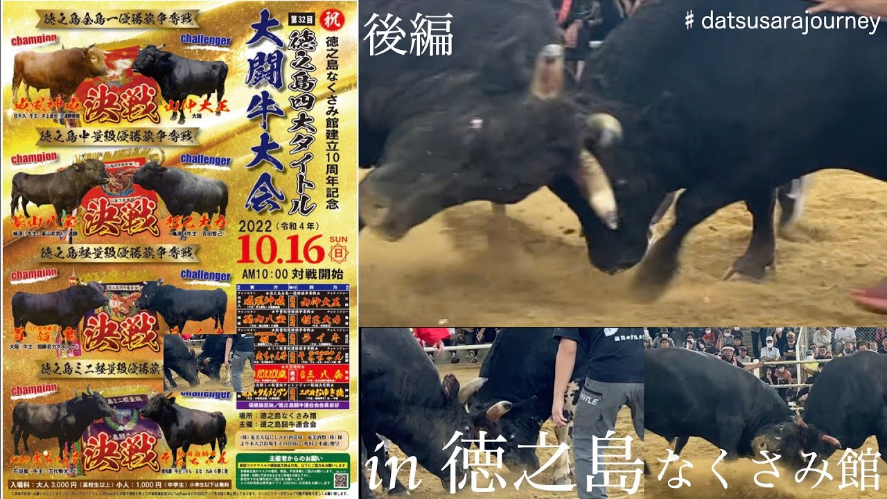 徳之島闘牛大会4大タイトル