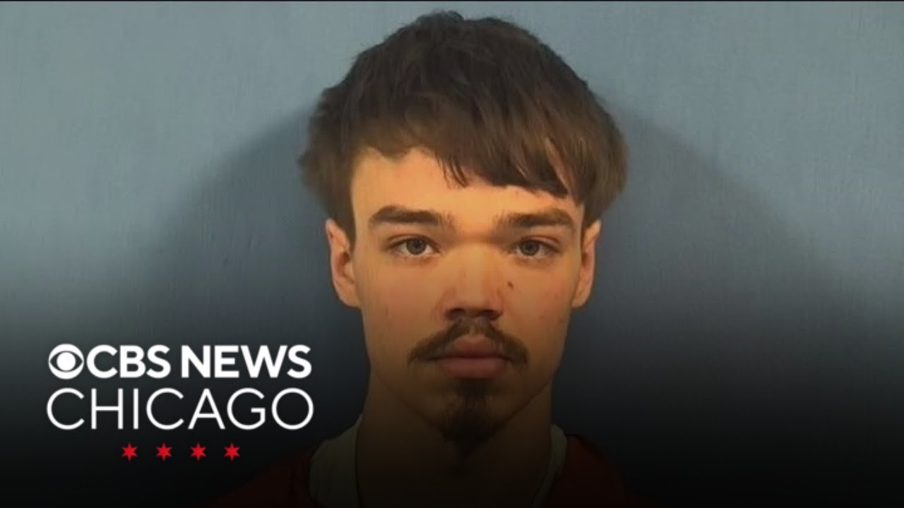 Man charged in deadly stabbing of pregnant woman back in jail