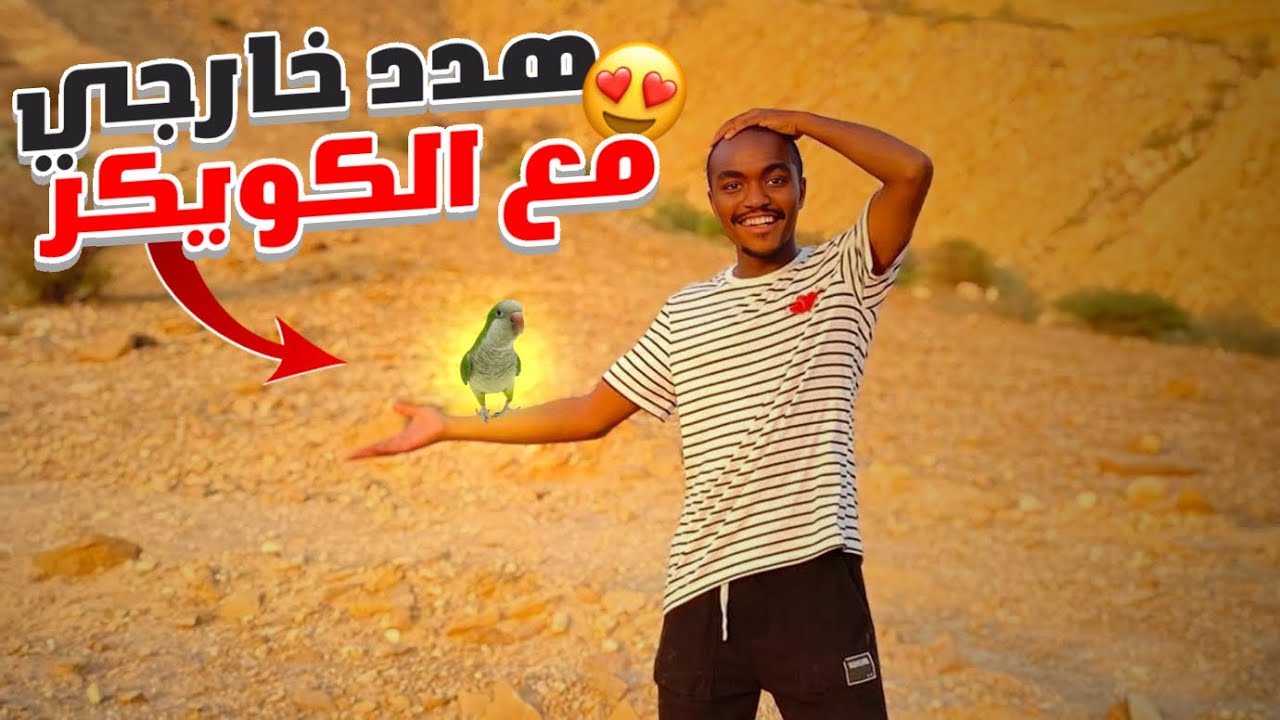 Свободный полет в пустыне и посреди квартала🔥😍