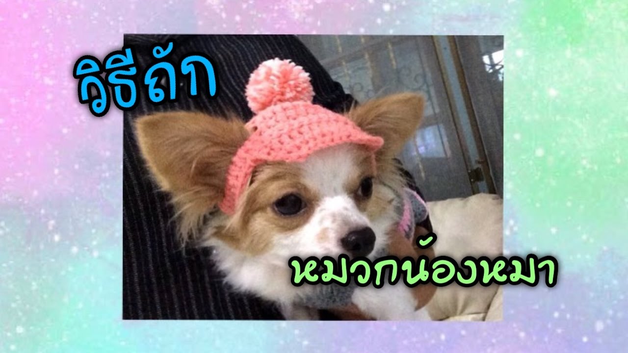 วิธีถักหมวกน้องหมา น้องแมว (Crochet dog/cat hat)@MikiMikiPresent