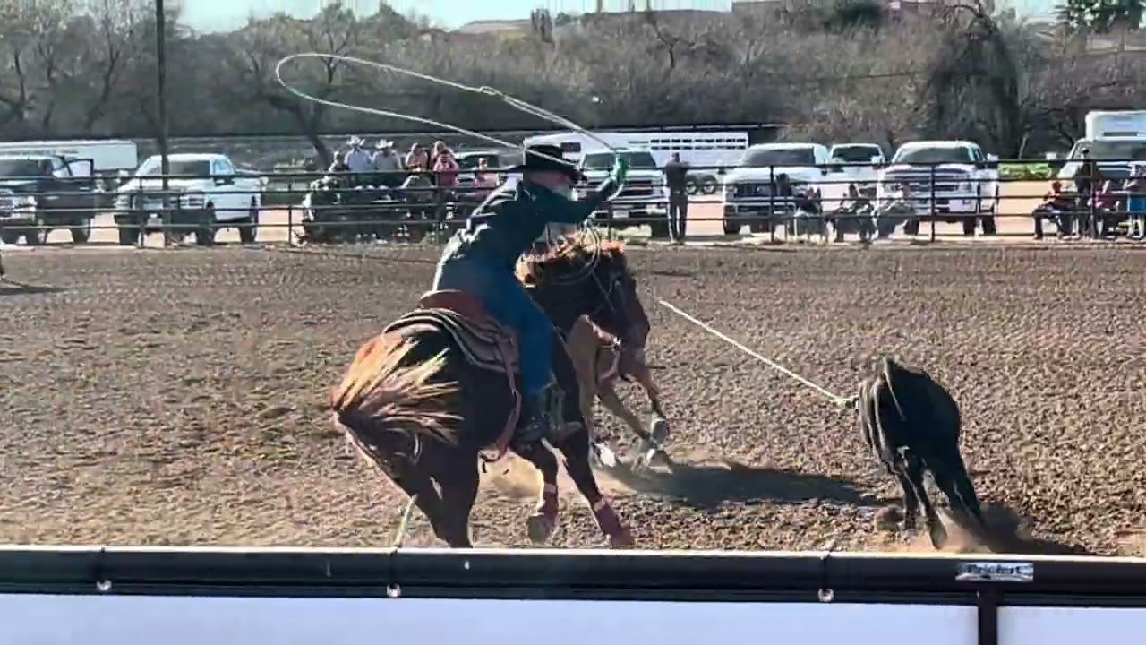 Peptos Chrome  Lot 48  The Horse Sale at Rancho Rio  #rodeo #horse #cowboys #headhorse 