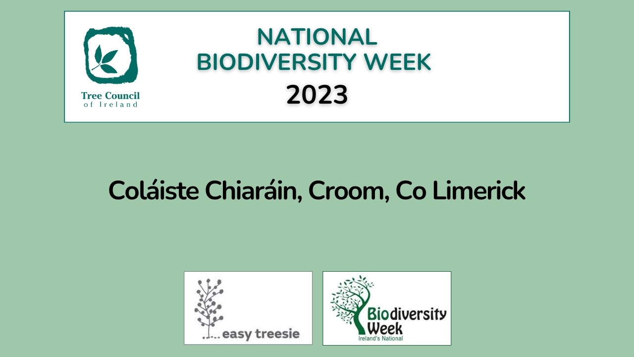 Coláiste Chiaráin, Croom, Co  Limerick