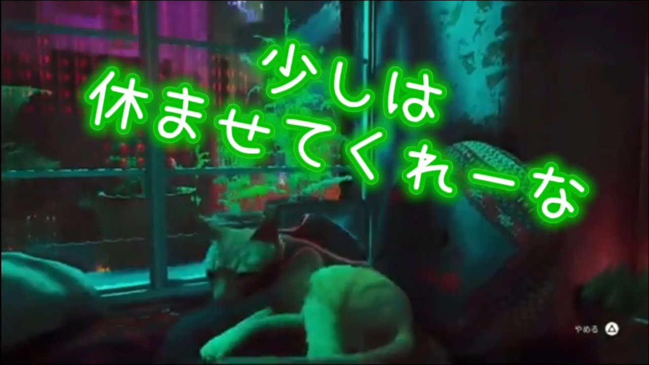 ［Stray］#6　やってることはにゃん泥棒(笑)