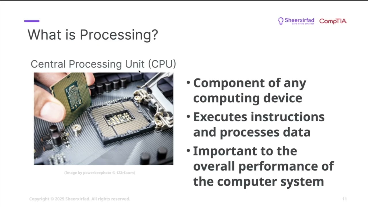 Lesson 1.2 - Explore the Computing Cycle | CompTIA Tech+ FC0-U71