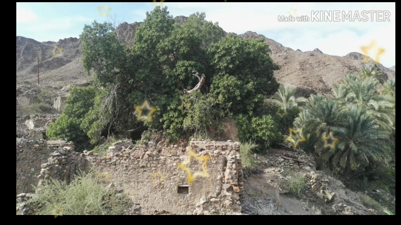 شلة متعكس ركون. كلمات: الشاعر عبدالله بن سالم المعمري. أداء: أحمد القريني. شلة فردية إبداع.